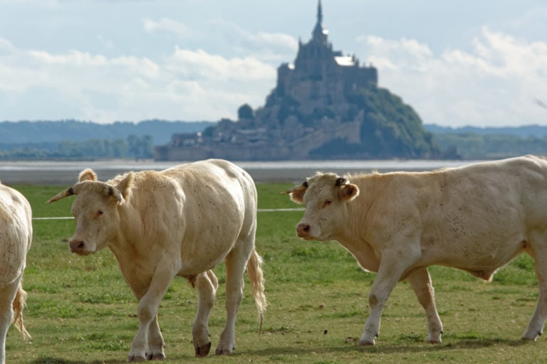 Mont St Michel