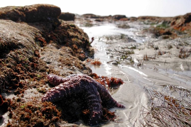 La Jolla – California