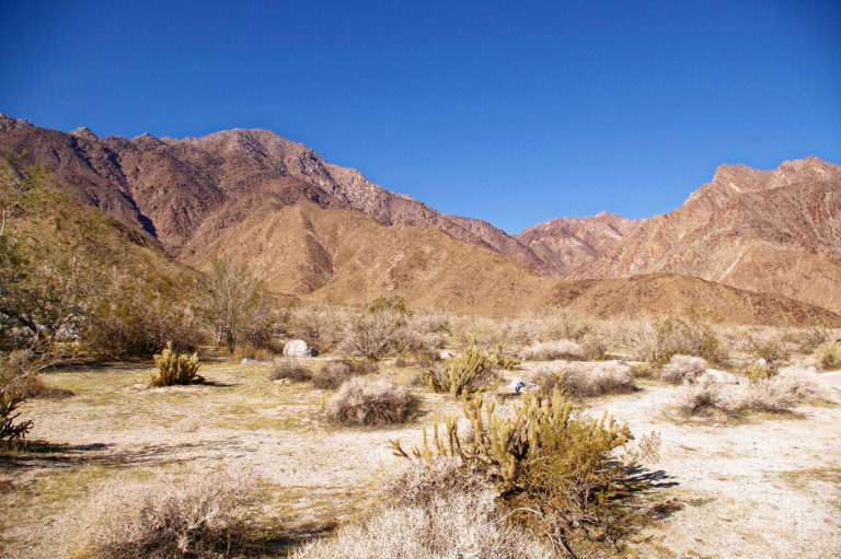 Desert – California