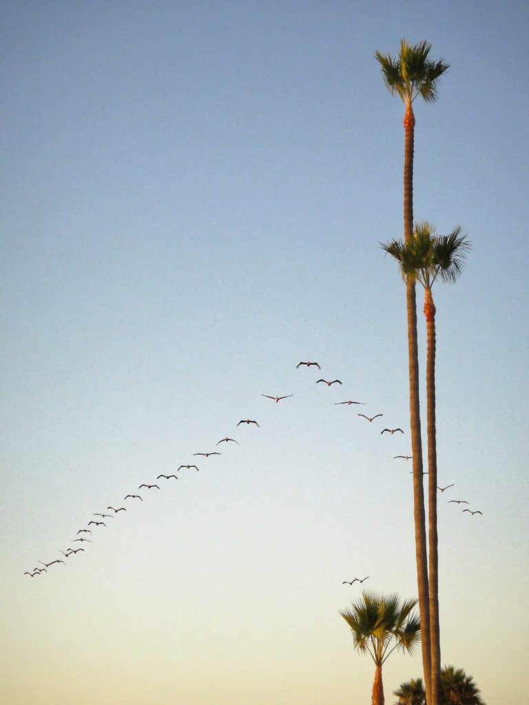 La Jolla - California