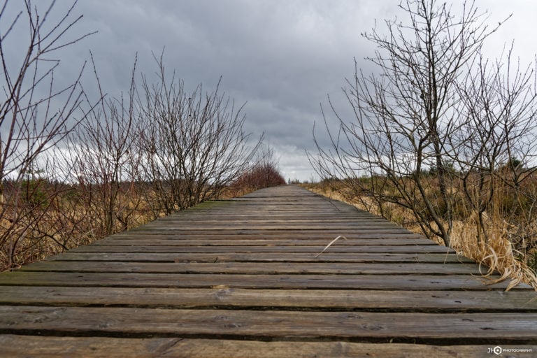 Fagnes - Savane ardennaise