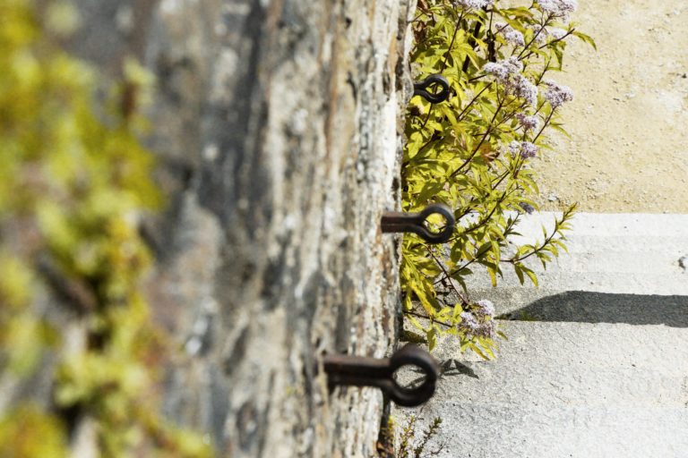 Château de Fougères