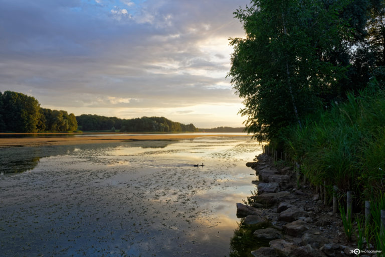 Lac d'Ailette